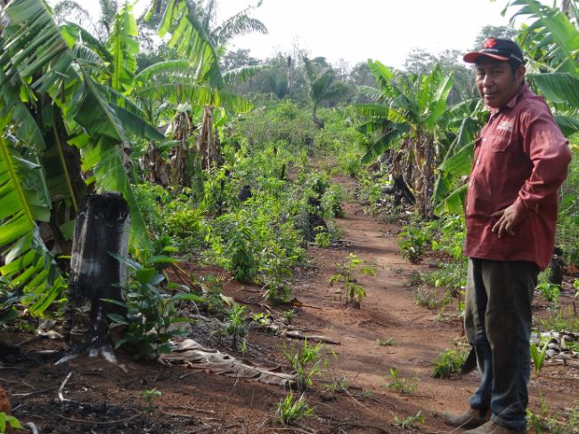 Agrobiodiversidade