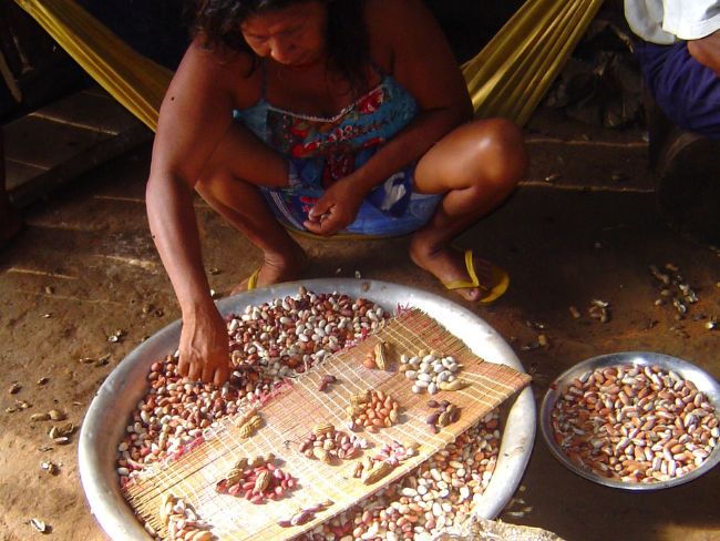 Sociobiodiversidade
