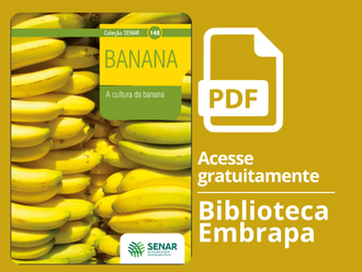 A cultura da banana