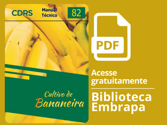 CULTIVO DE BANANEIRA
