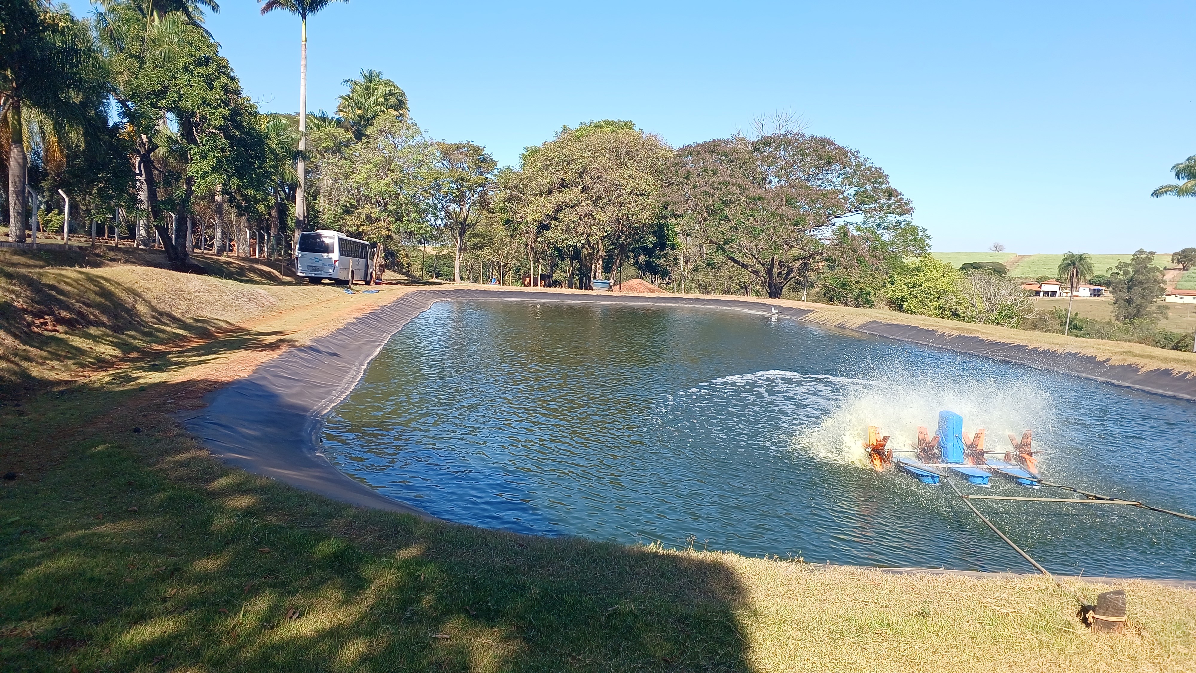 Primeiro Slide