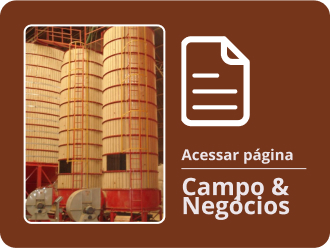Armazenamento de feijão e os desafios da pós-colheita