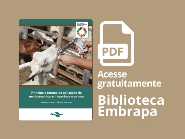 Aplicação de medicamentos em caprinos e ovinos