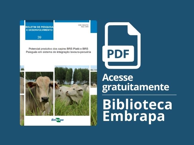 Potencial produtivo dos capins BRS Piatã e BRS Paiaguás em sistema de integração lavoura-pecuária