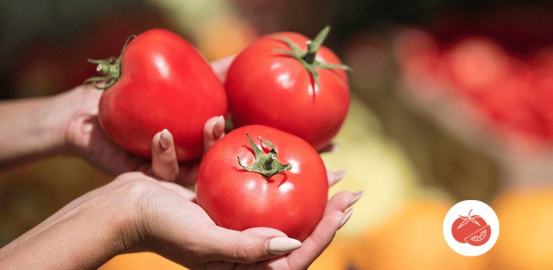 Tomate de Mesa