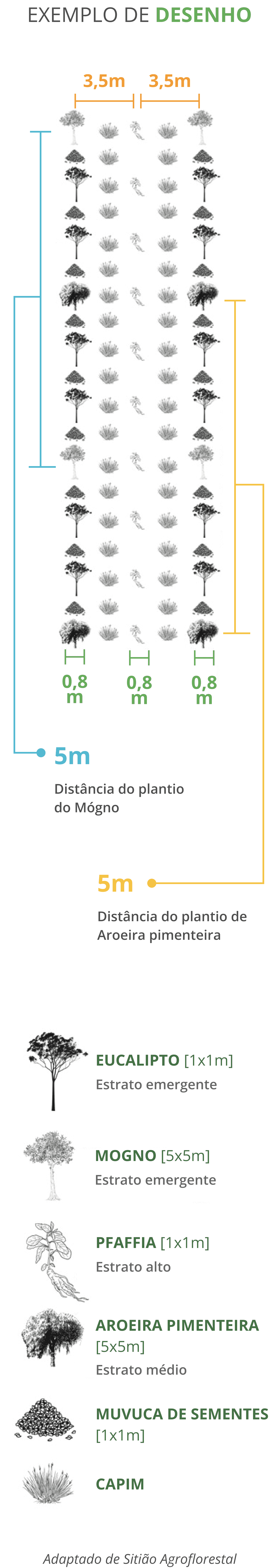 Infográfico Escolha das espécies -Mobile