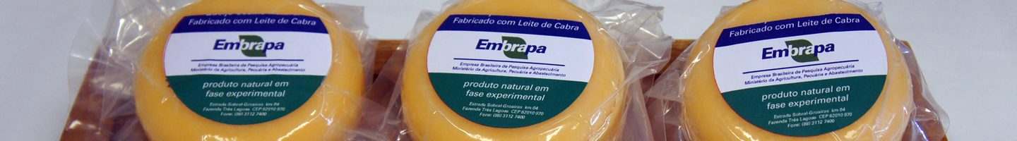 Banner da Pagina